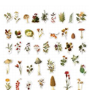 40 stuk aquarel schilderen blad paddestoel Cartoon stickers voor kinderen en volwassenen Beloningsstickers Journal Laptop Telefoon Stickers