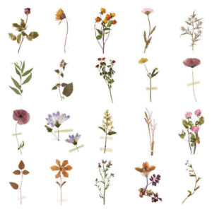 40 stuk tawny bloem Transparant stickers voor kinderen en volwassenen Beloningsstickers Journal Laptop Telefoon Stickers